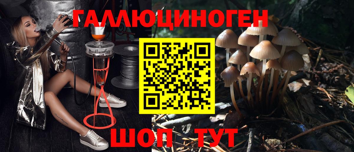 Псилоцибиновые грибы мухоморы  закладки  Кудрово  Вход с VPN 