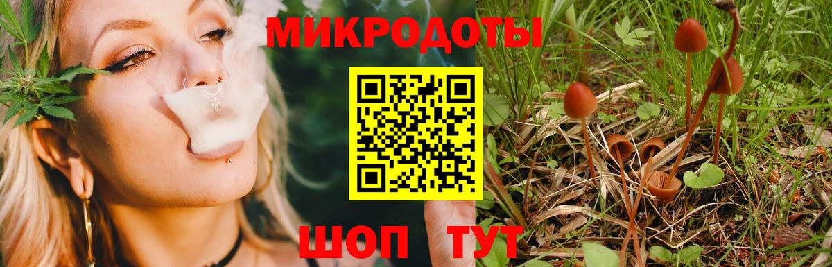 Галлюциногенные грибы Magic Shrooms Кудрово